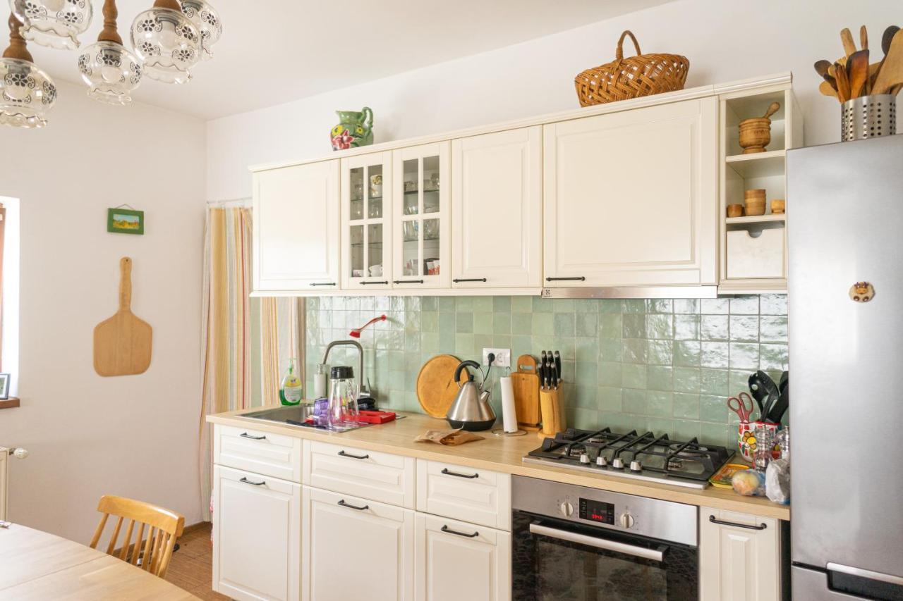 Generous Family Home Vişeu de Sus Eksteriør bilde